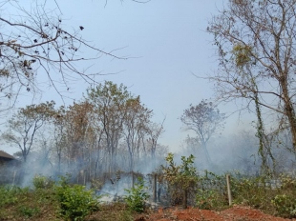 Fires raging for 10 days in  Goa’s forests finally doused
