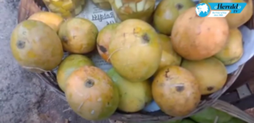 First Mancurade Mango is back but with a hefty price tag