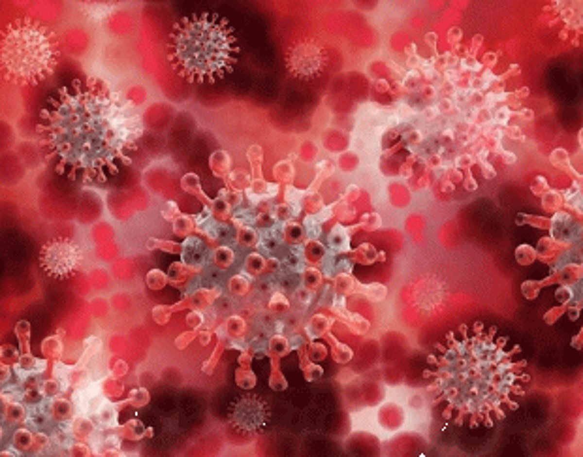 First case of Omicron variant found in Goa