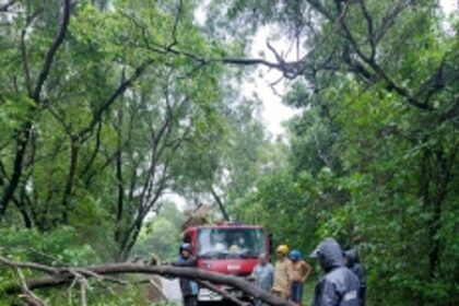 First showers destroy property worth Rs 40,000