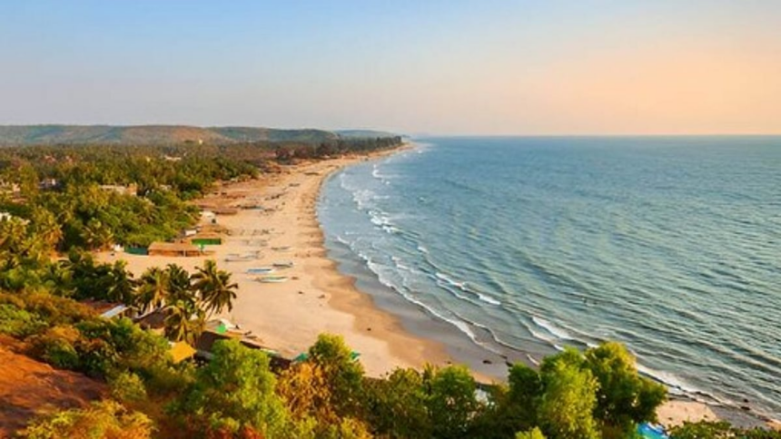 Fish Breeding Project Launched at Arambol Beach to Boost Marine Life and Support Local Fishermen 1 Fish Breeding Project Launched at Arambol Beach to Boost Marine Life and Support Local Fishermen