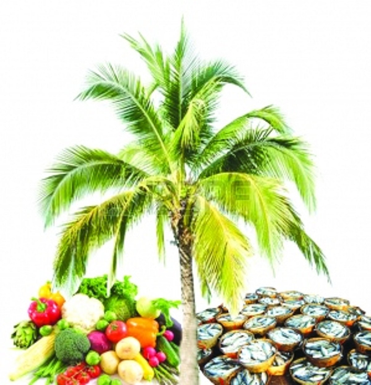 Fish, Veggies & Coconuts: ARE THEY OURS?