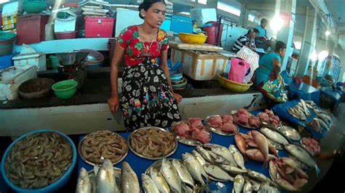 Fish and Floods: Margao’s Wholesale Market Sinks into Slush and Chaos