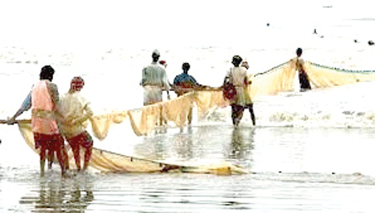 Fish famine in Goa, likely to continue for some more time