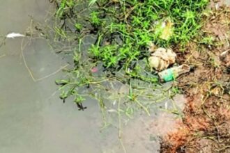 Fish float belly-up in Areal water body, locals blame scrapyard for pollution