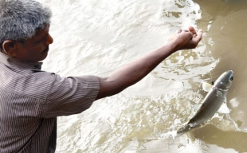 Fish imports BANNED for 15 days