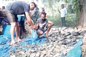 Fish lovers throng to buy fresh water  fish harvested at Raloi-Lake