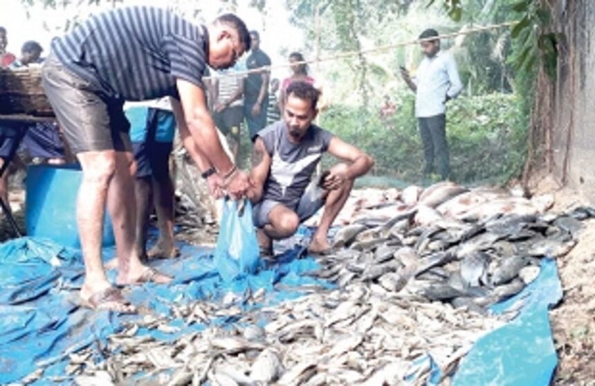 Fish lovers throng to buy fresh water fish harvested at Raloi-Lake 1 Fish lovers throng to buy fresh water fish harvested at Raloi-Lake