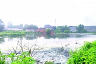 Fish meal plants raise a stink, pollute water bodies at Cuncolim IDC, say locals