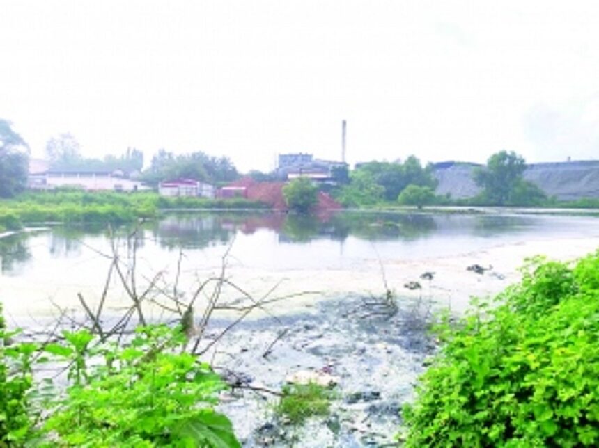 Fish meal plants raise a stink, pollute water bodies at Cuncolim IDC, say locals