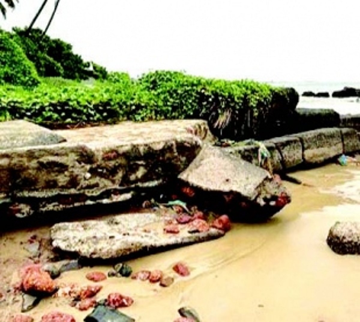 Fish mortality in Velsao water bodies: GRE says battling against water pollutants right from 2018