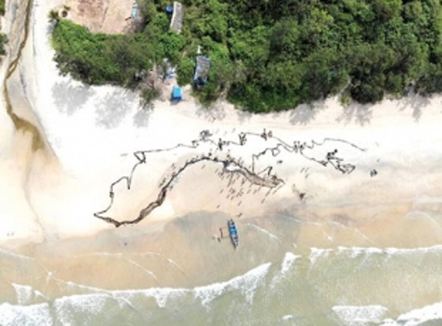 Fish, politics and the fight to retain traditions