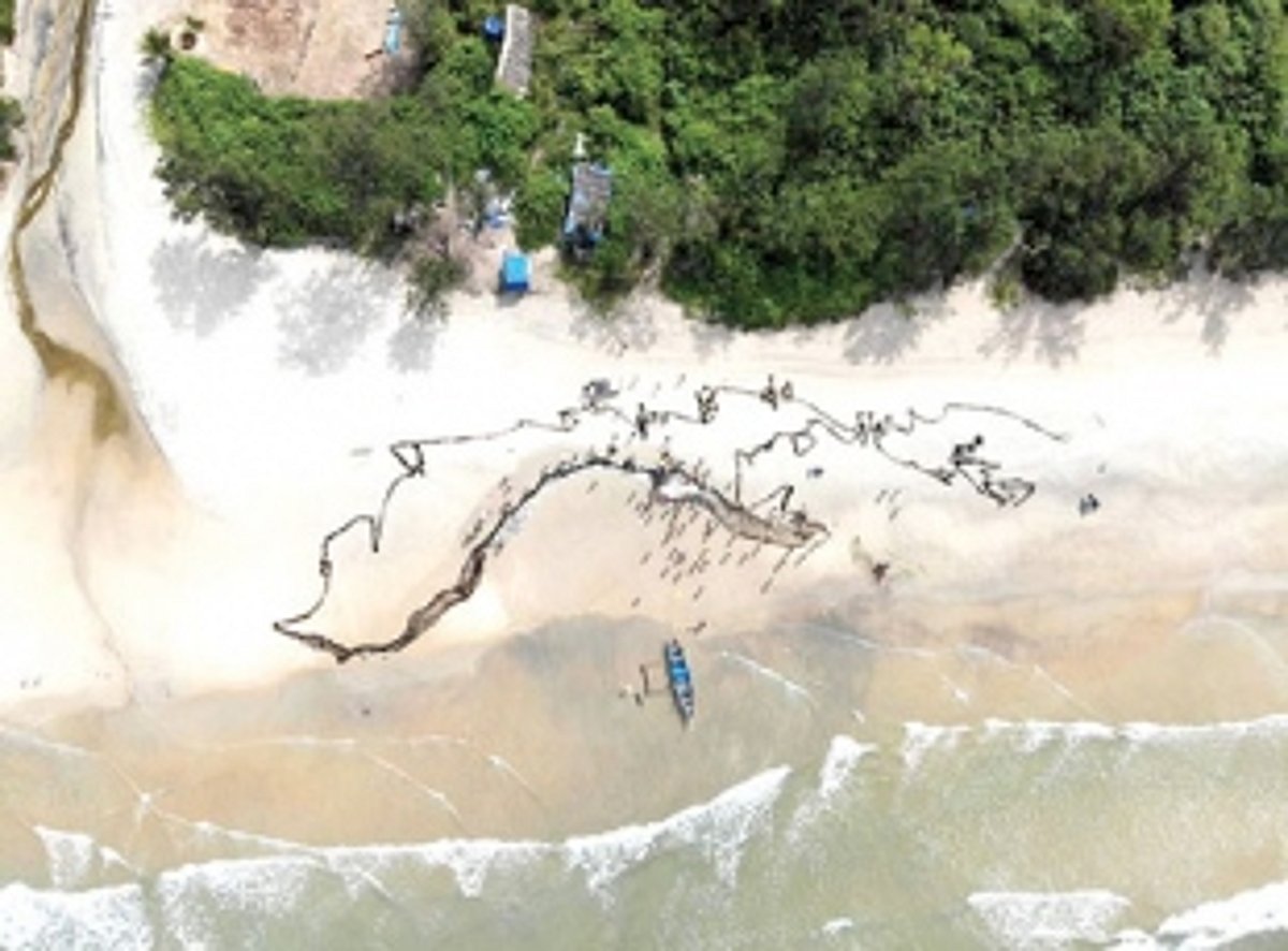 Fish, politics and the fight to retain traditions