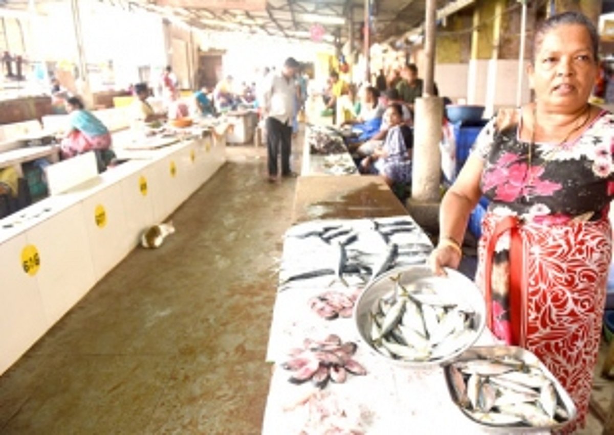 Fish scarcity may lead to major crisis