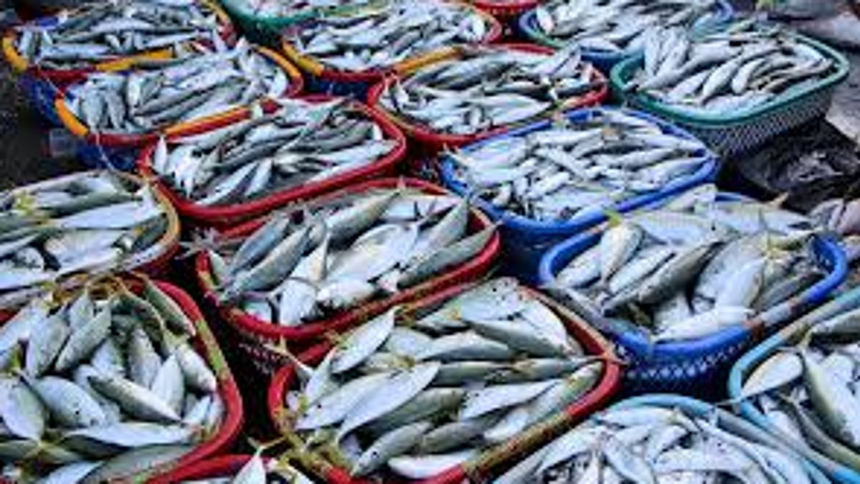 Fish shortage in Margao ends today 1 Fish shortage in Margao ends today