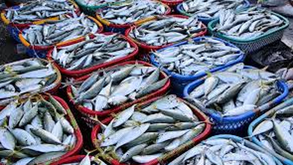 Fish shortage in Margao ends today