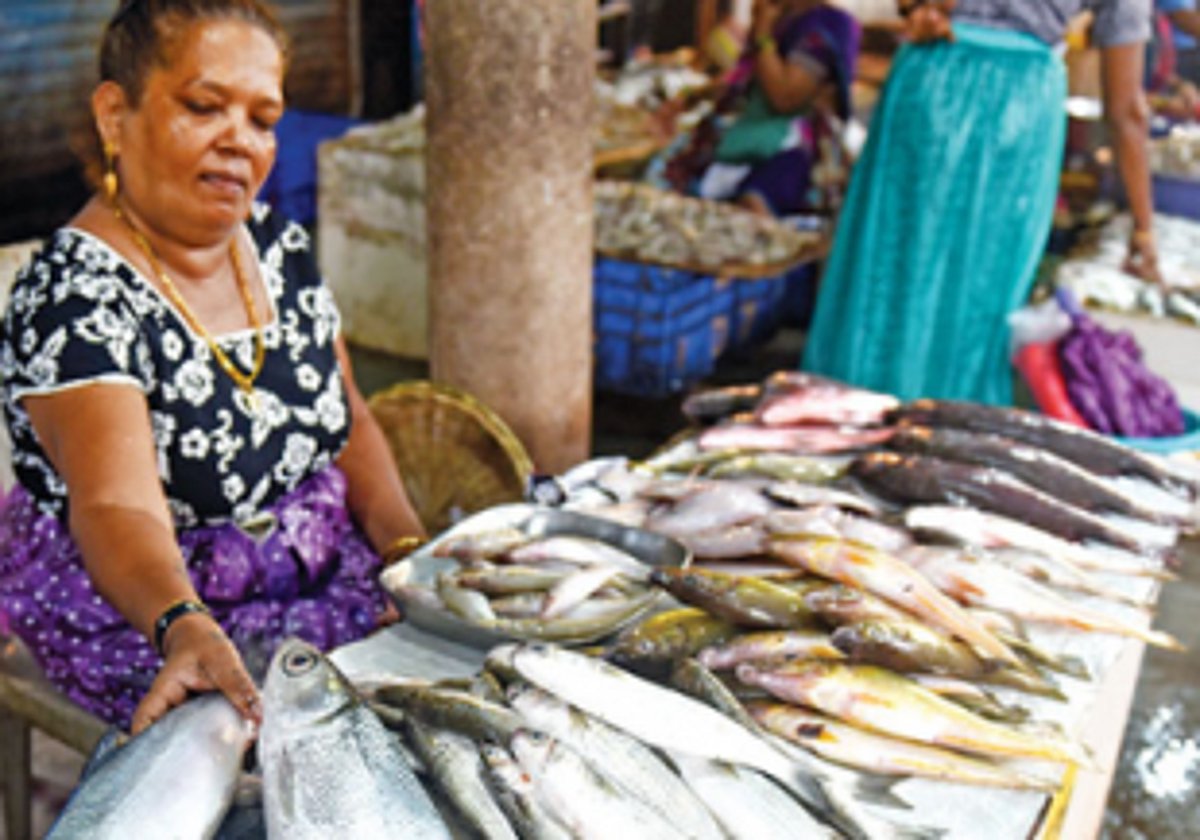 Fish vendors at SGPDA market resume business