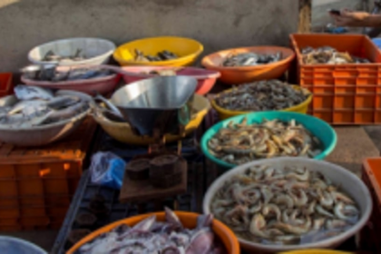 Fishermen meet QMC chief  over stoppage of fish sale