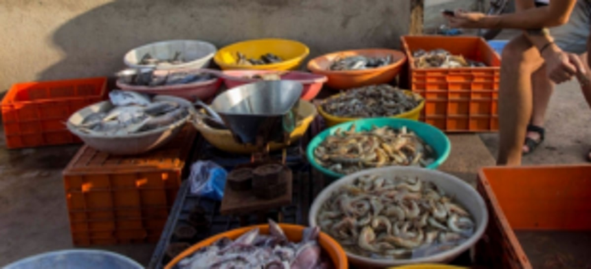 Fishermen meet QMC chief over stoppage of fish sale 1 Fishermen meet QMC chief over stoppage of fish sale