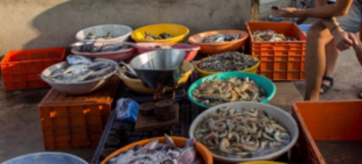 Fishermen meet QMC chief  over stoppage of fish sale