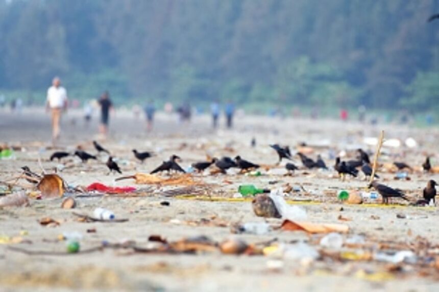 Fishing community wants Caranzalem beach cleaning contract, criticises agency handling it