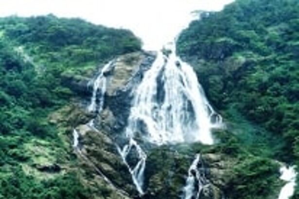 Fitting tribute to iconic Dudhsagar waterfalls: Locals