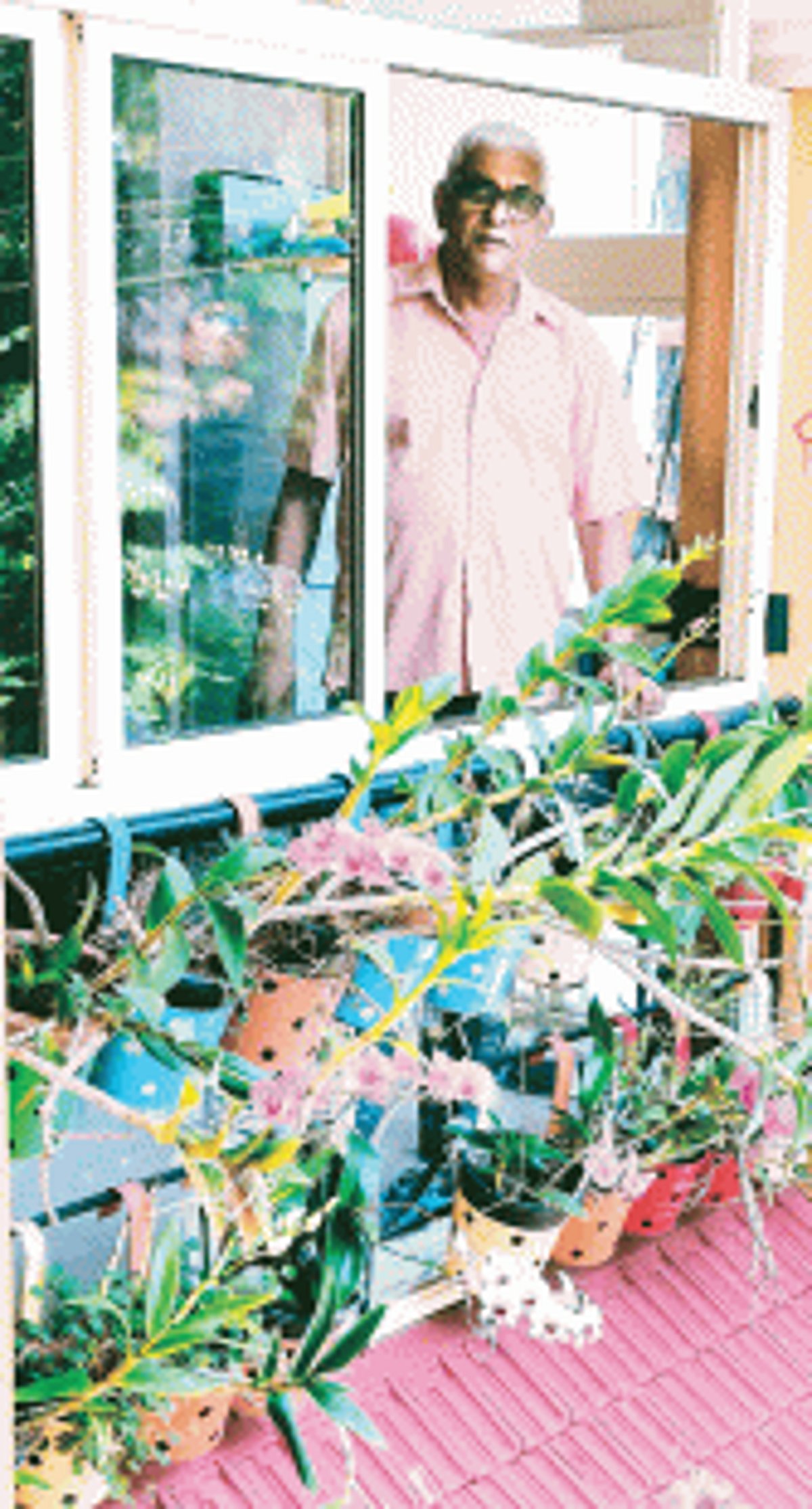 Flower power: Restaurateur-turned-orchid enthusiast Shane Lobo on his blooming second innings