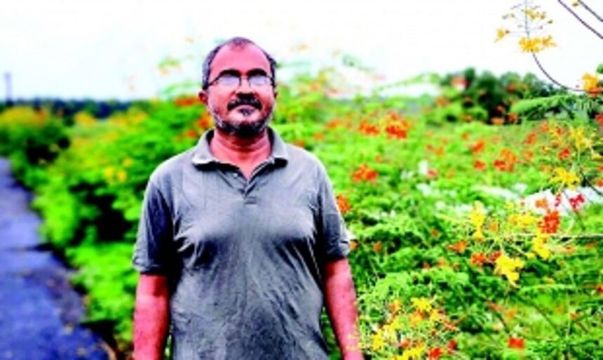 Flower power: Retired Seraulim man transforms garbage-strewn stretch into picturesque garden