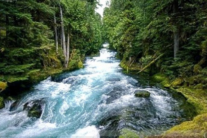 Flowing through time: Celebrating the vital role of rivers on World Rivers Day