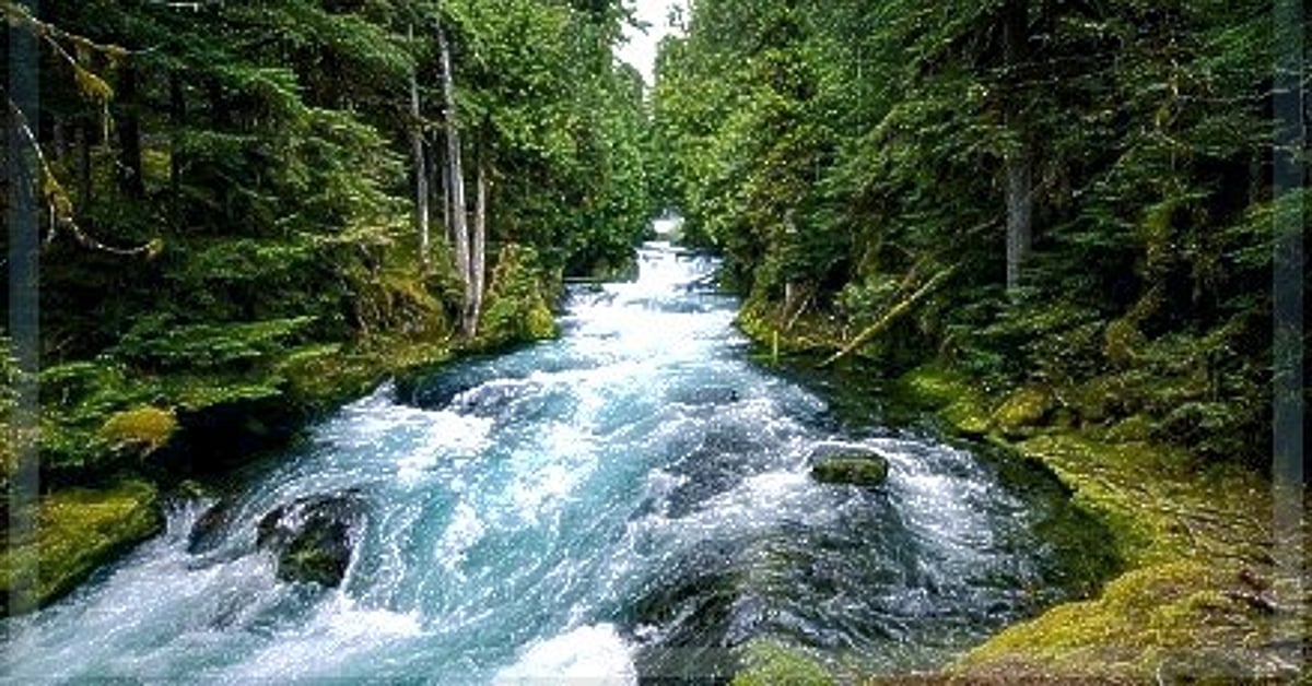 Flowing through time: Celebrating the vital role of rivers on World Rivers Day