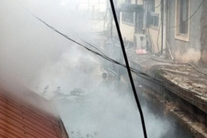 Fogging needed to fight vector-borne diseases