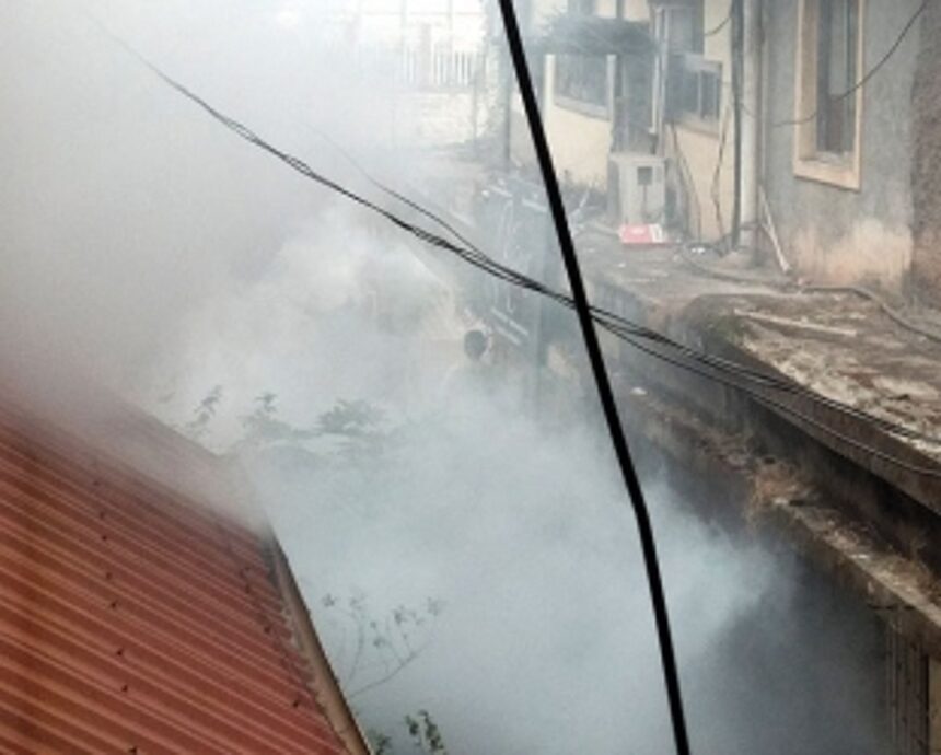 Fogging needed to fight vector-borne diseases 1 Fogging needed to fight vector-borne diseases