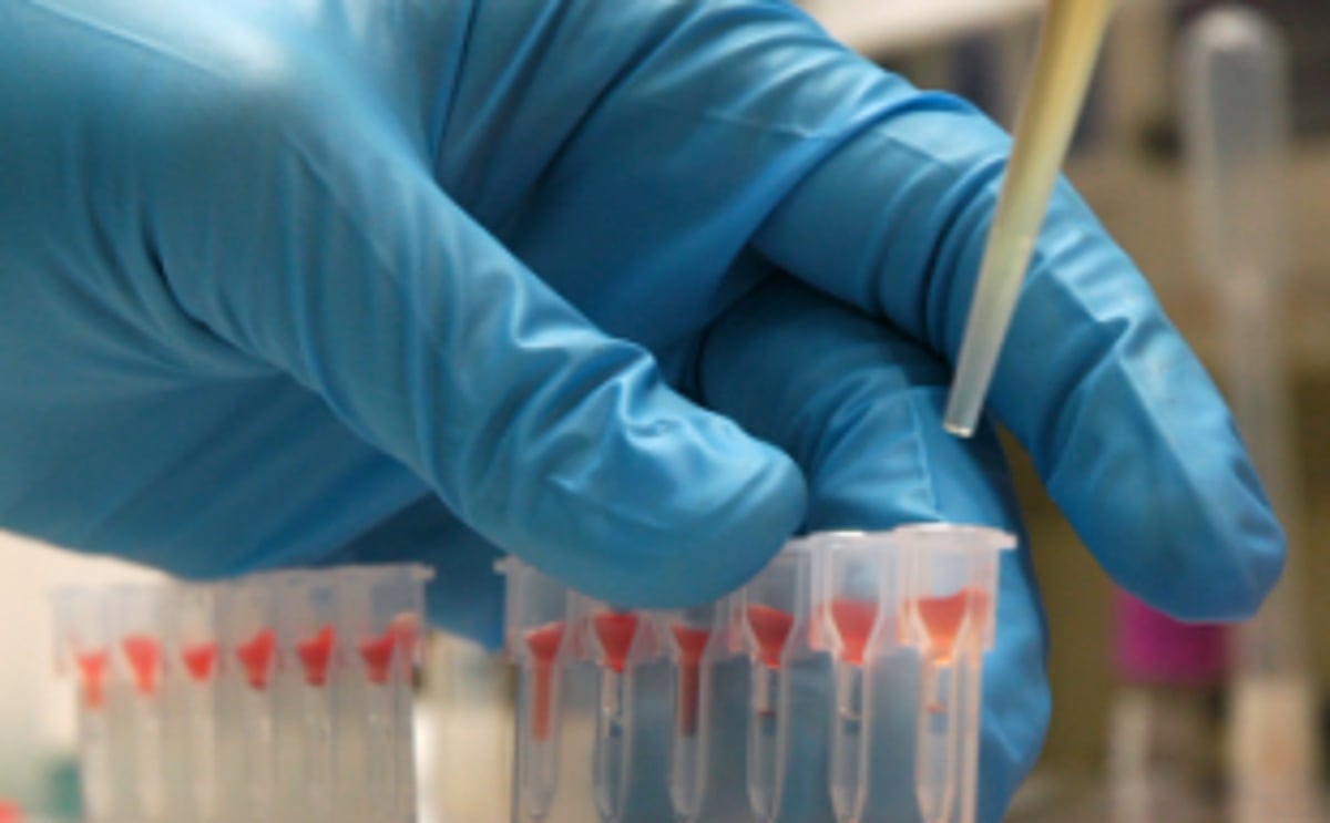 Follow MHA protocol, says CM