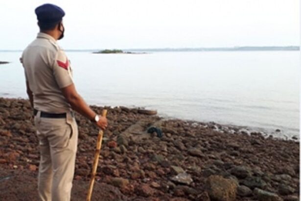 Following appeals by Greens, Chicalim Parish priest, extraction of ‘Tisreo’, ‘Hadde’ stopped at Vareg Island
