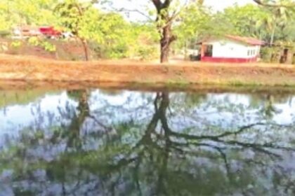 Following teen’s drowning death, Sanguem villagers call for protective barriers along Selaulim canal