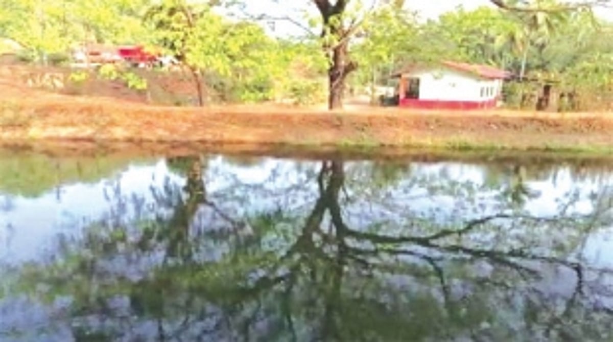 Following teen’s drowning death, Sanguem villagers call for protective barriers along Selaulim canal