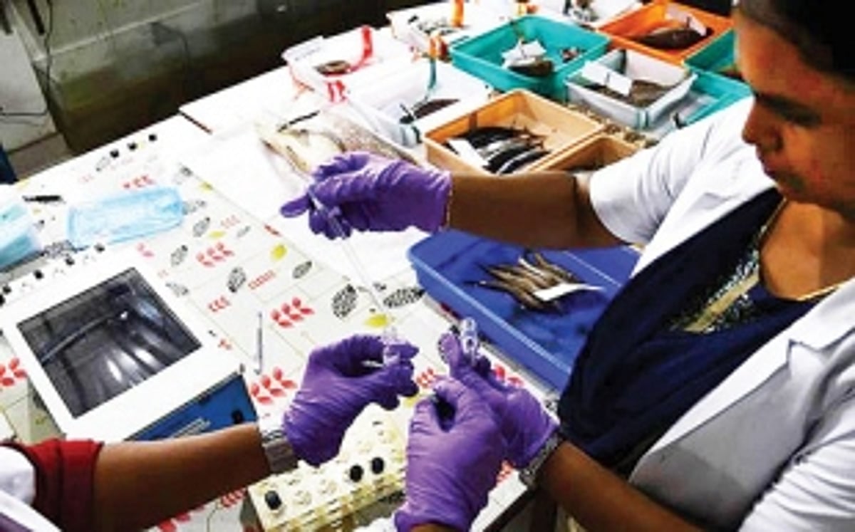 Food Safety and Standards Amendment Regulations 2020 to be implemented