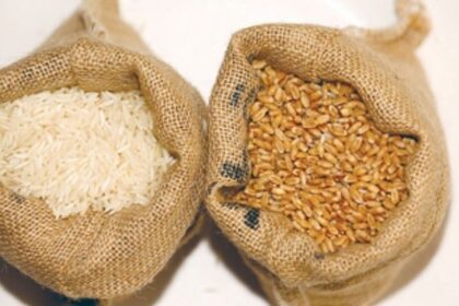 Food grain scam mastermind gets anticipatory bail