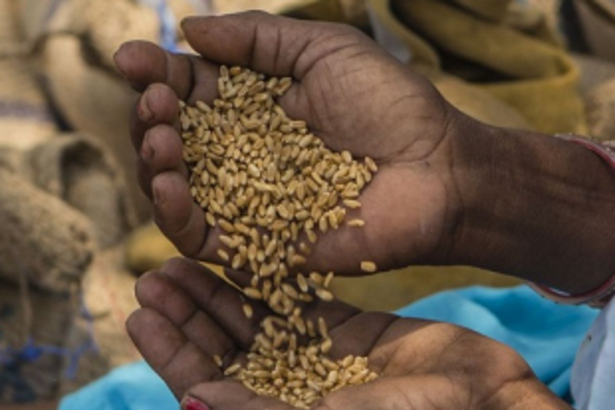 Food grains  distribution on under  PMGKAY scheme