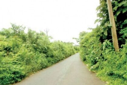 Fooling public in the name of road safety
