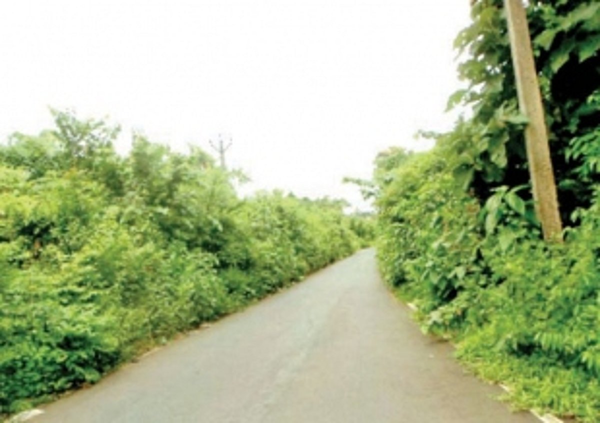 Fooling public in the name of road safety