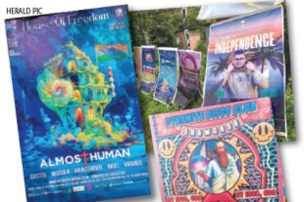 For Indian citizens it’s Independence Day, for techno party organisers in Goa it’s INDEPEN-DANCE day