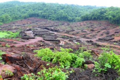 For coal the government   bells toll…