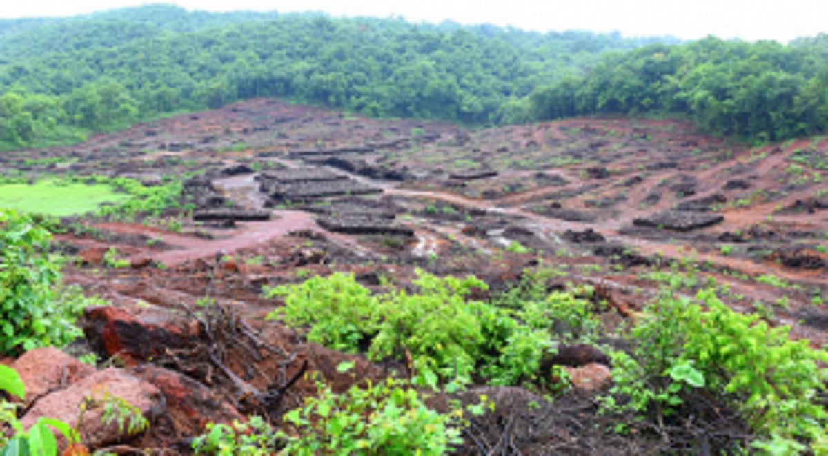 For coal the government   bells toll…