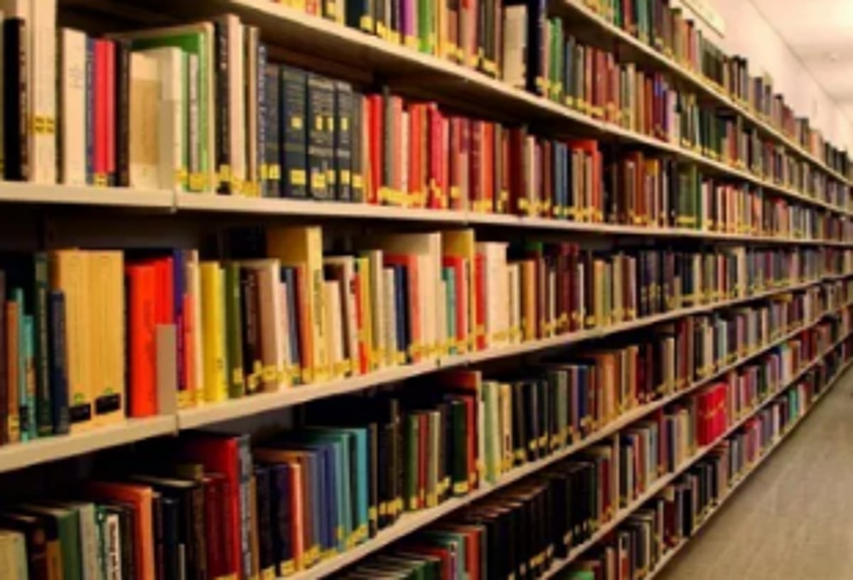 For nearly a year, Mapusa residents sans library!
