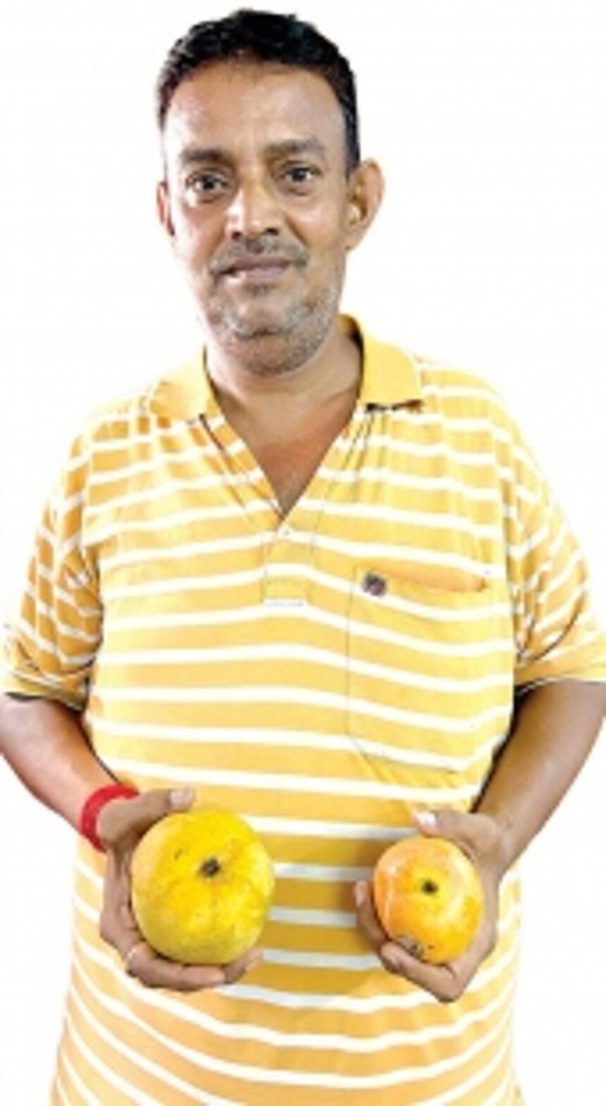 For over 60 years, Uday Adpaikar’s family has kept Margao flush  with juicy mangoes