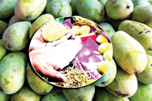 Forbidden Fruits: When artificial  ripening gives you a raw deal