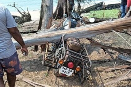 Foreigner injured as dead tree falls on bike at Keri