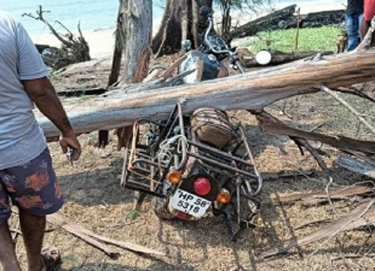 Foreigner injured as dead tree falls on bike at Keri