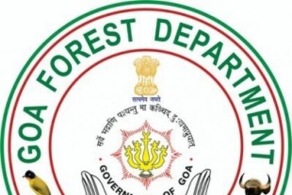 Forest Corp is nodal agency for tourism activities in demarcated areas